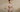 Hiba in Amour Caché's Kim High Neck Underwire Bra in Nude and Black Floral Embroidery